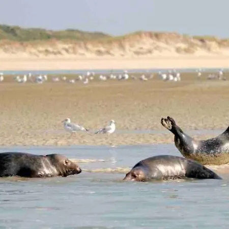 Charmante Familiale A Sainte Cecile Plage *